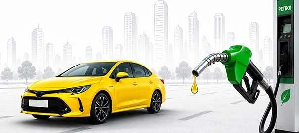 Petrol Car Crisis in India Is the Future of Petrol Vehicles at Risk