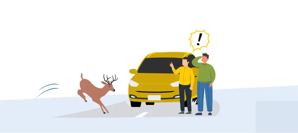 Are Animal Attacks Covered Under Car Insurance?
